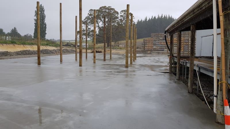 Moana Orchards