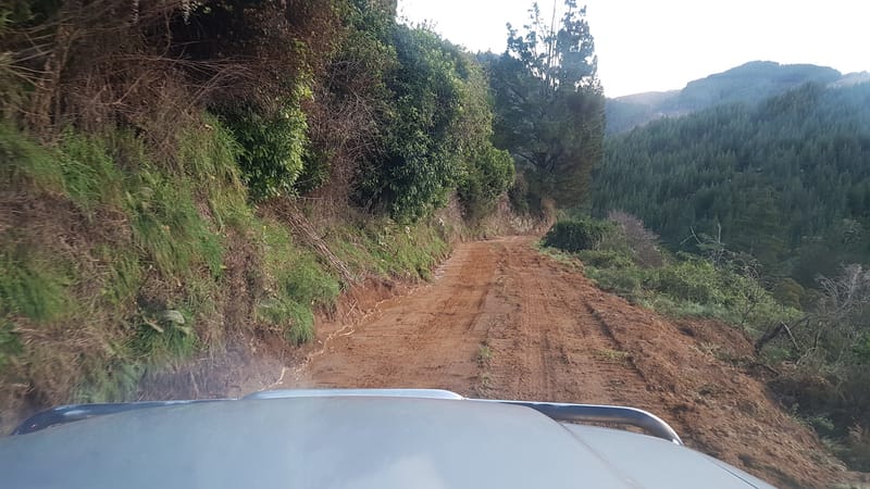 TDC Road Construction
