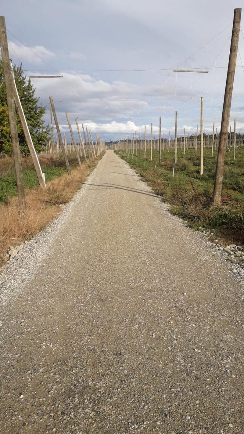 Orchard Tracks