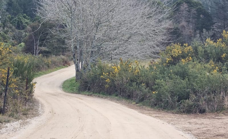 Gravel Driveway Marahau