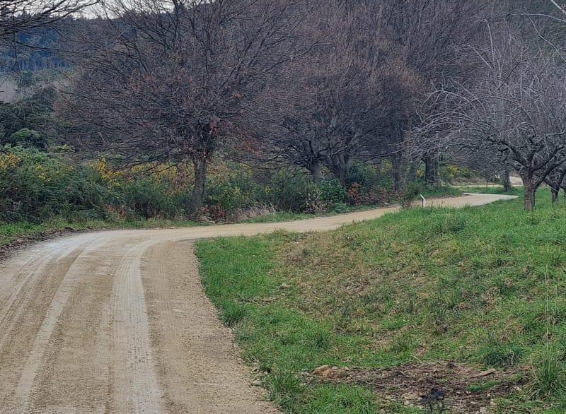 Gravel Driveway Marahau